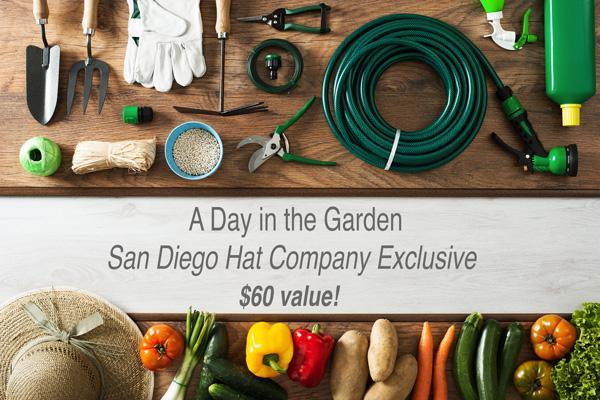 Box Series - WEB EXCLUSIVE -  San Diego Hat&